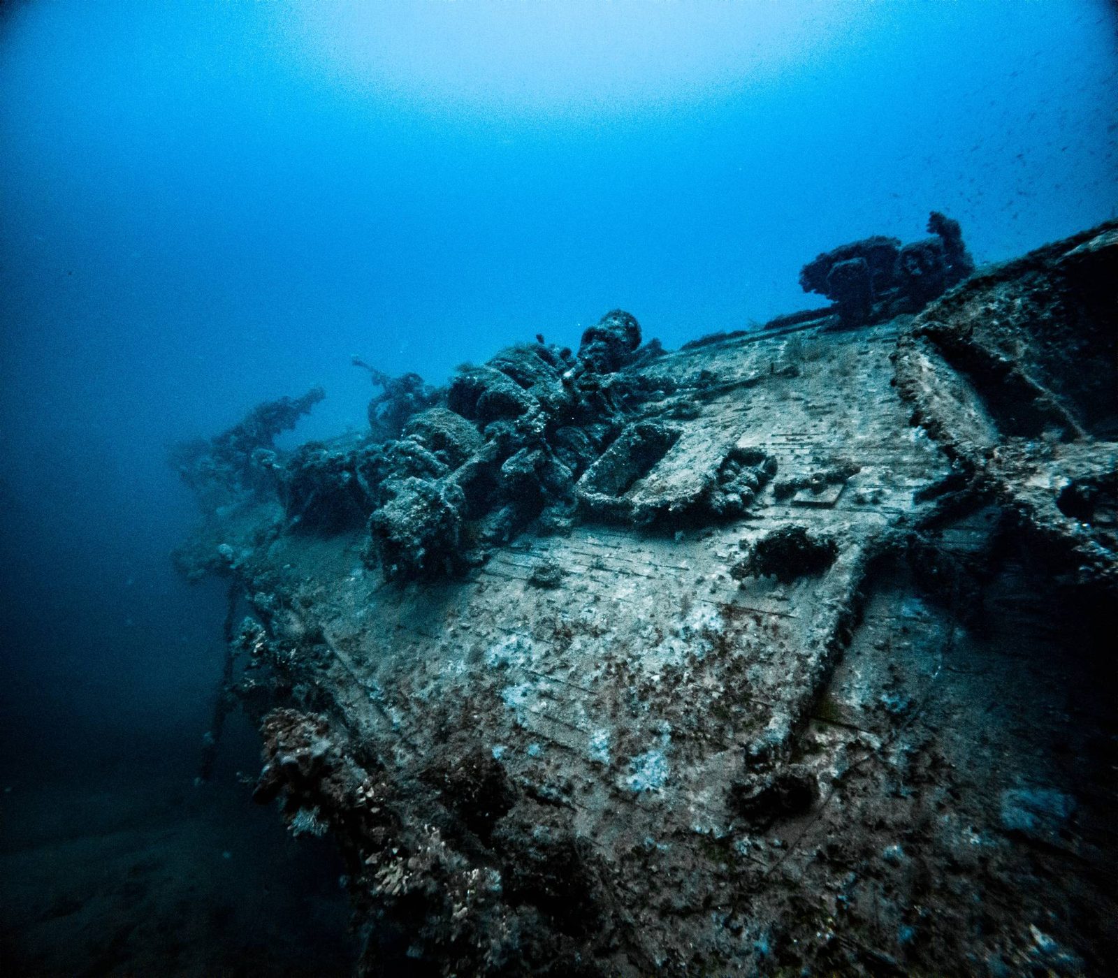 A wreck's wooden deck planking, gun mounts and fittings under a layer of marine growth in deep blue water