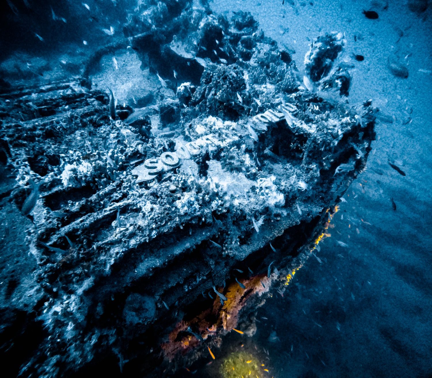The stern of HMS Southwold off Malta, her name in raised letters under marine growth