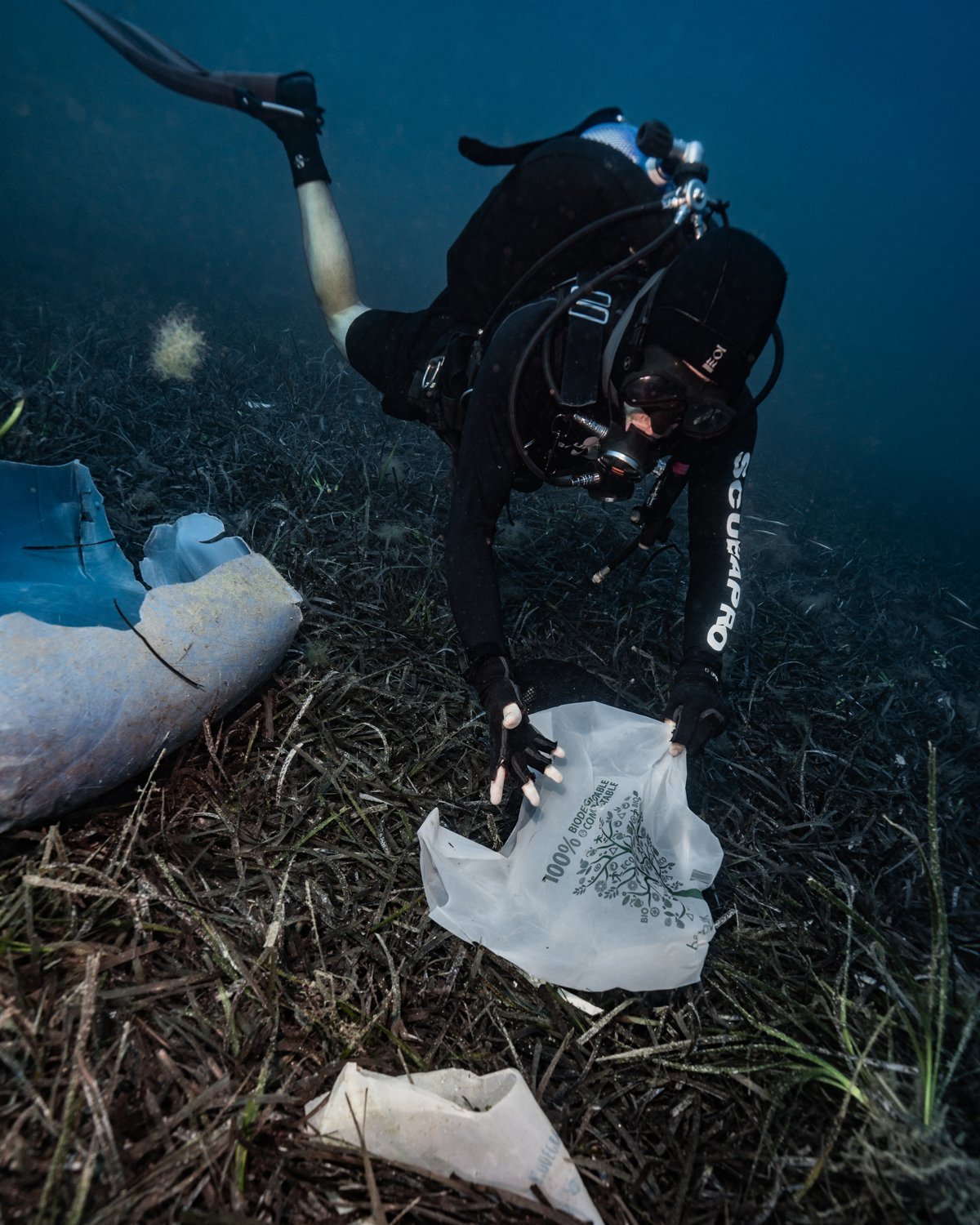 A diver lifting a plastic bag marked 100% biodegradable from the seagrass at Exiles reef, Sliema