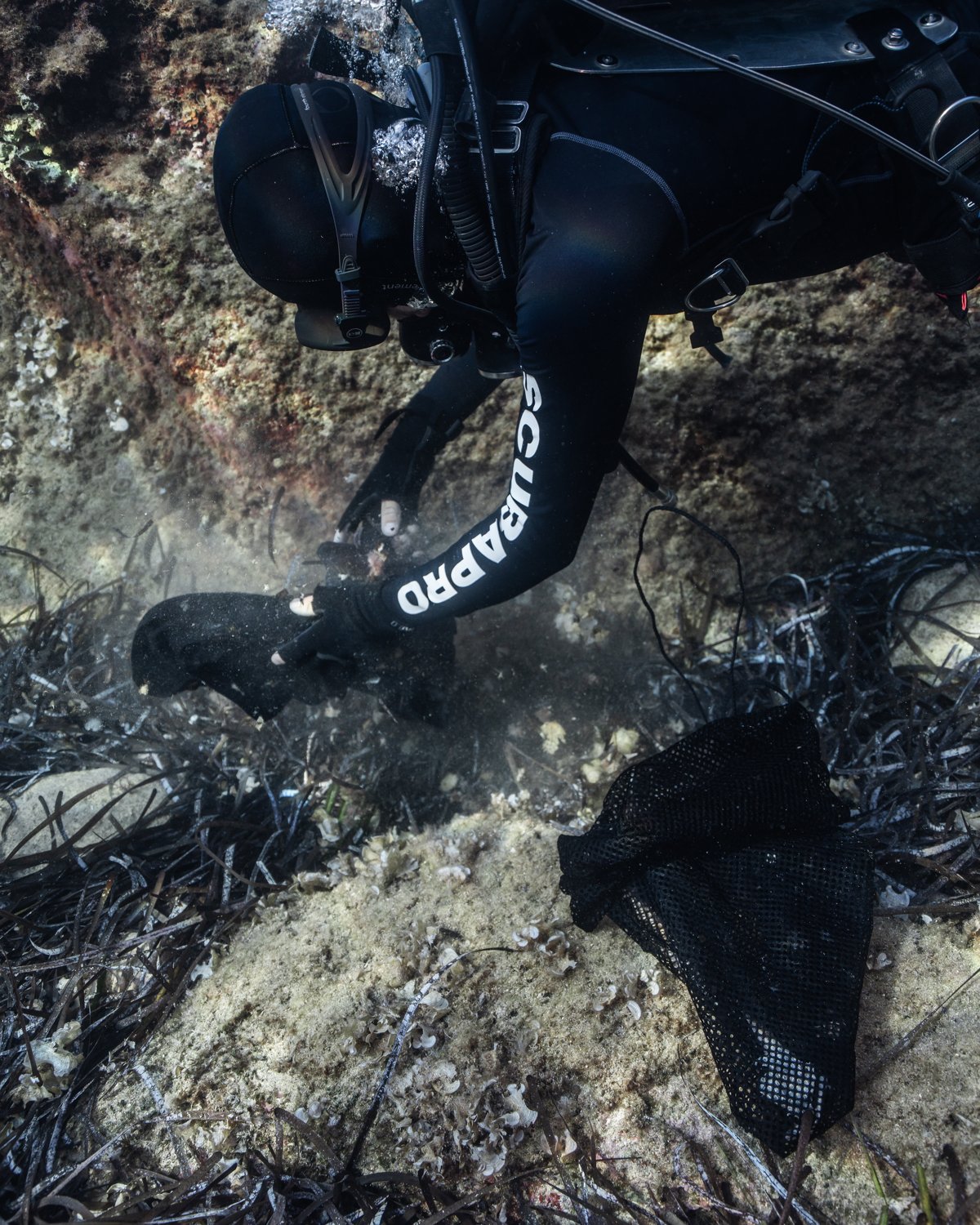 A diver retrieving debris from the reef during the Exiles clean-up dive