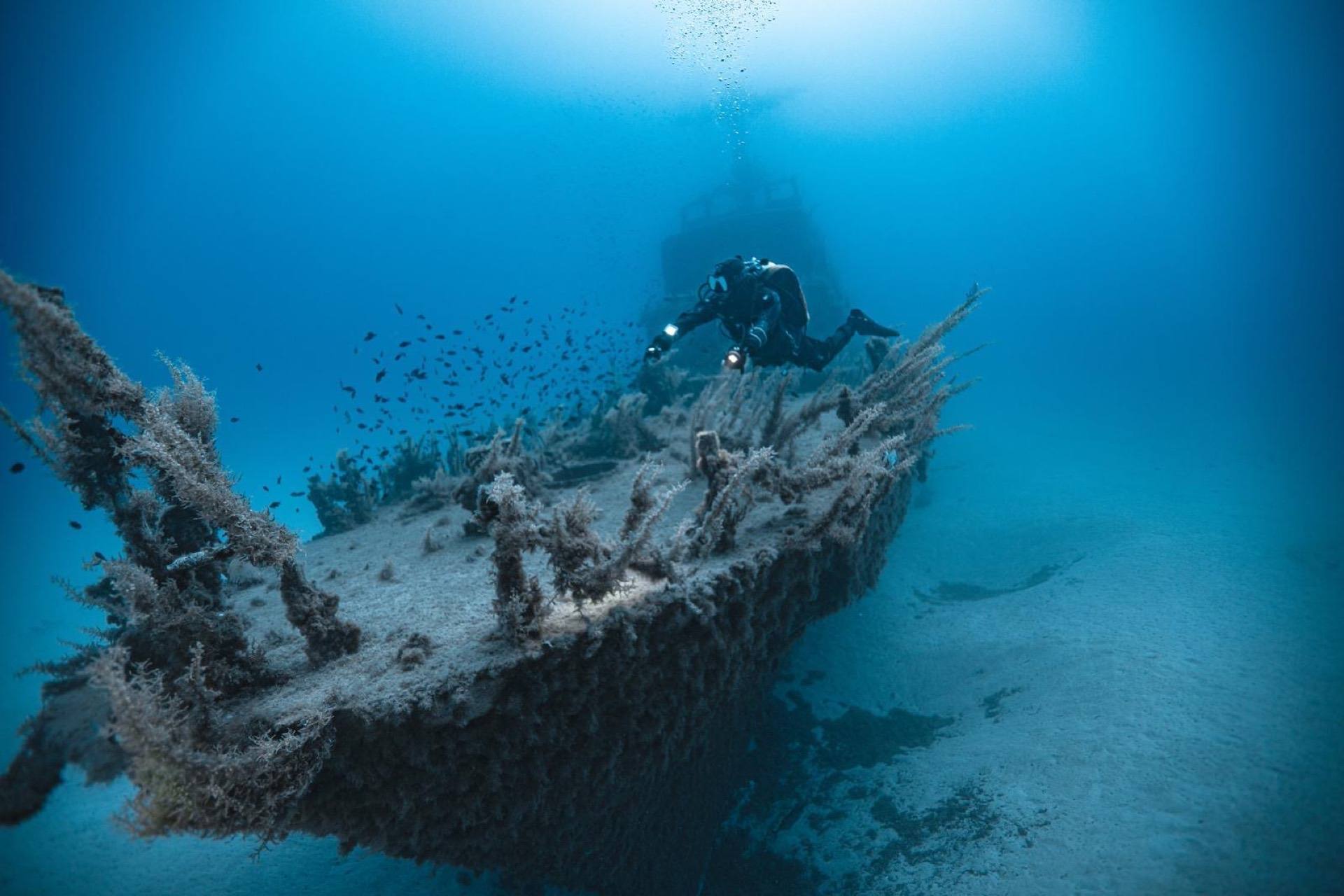 A diver gliding over a wreck in Malta's clear blue water